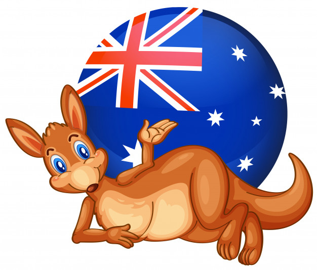 kangaroo front ball with australian flag 1308 43253
