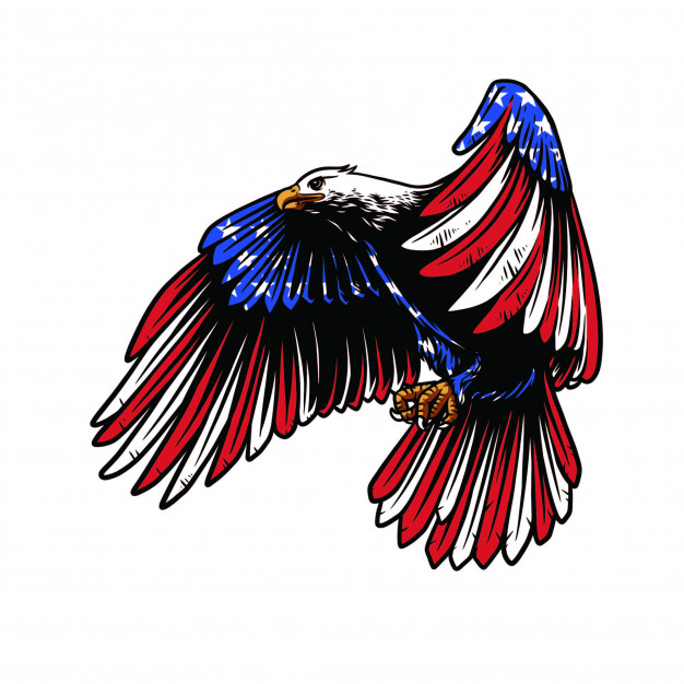 american eagle 106606 20
